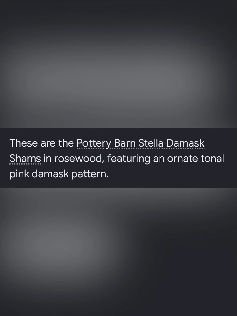 HTF Like new set of 2 Pottery Barn Stella Damask rosewood standard shams